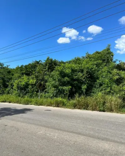 Terreno en México, Yucatán, Valladolid, foto 5