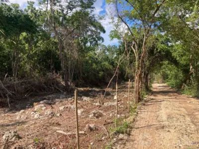 Terreno en México, Yucatán, Chichimilá, foto 2