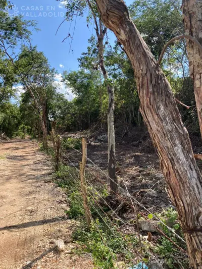 Terreno en México, Yucatán, Chichimilá, foto 3