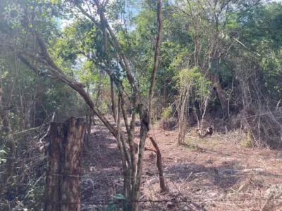 Terreno en México, Yucatán, Chichimilá, foto 4