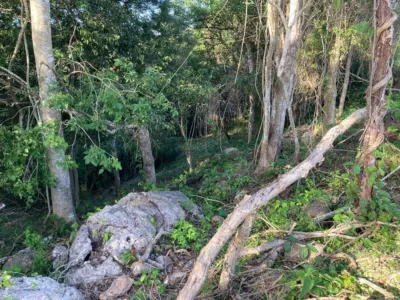 Terreno en México, Yucatán, Valladolid, foto 8