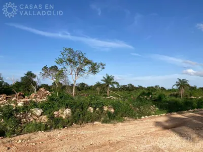 Terreno en México, Yucatán, Valladolid, foto 9