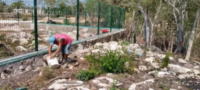 Terreno en México, Yucatán, Valladolid, foto 17