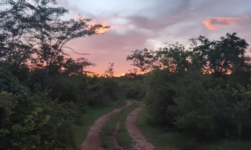 Terreno en México, Yucatán, Valladolid, foto 1
