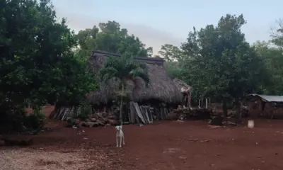 Terreno en México, Yucatán, Valladolid, foto 2