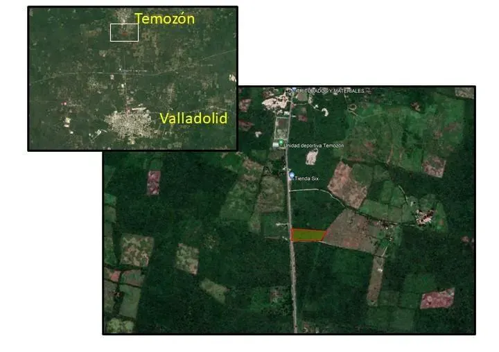 Terreno en México, Yucatán, Temozón, foto 1