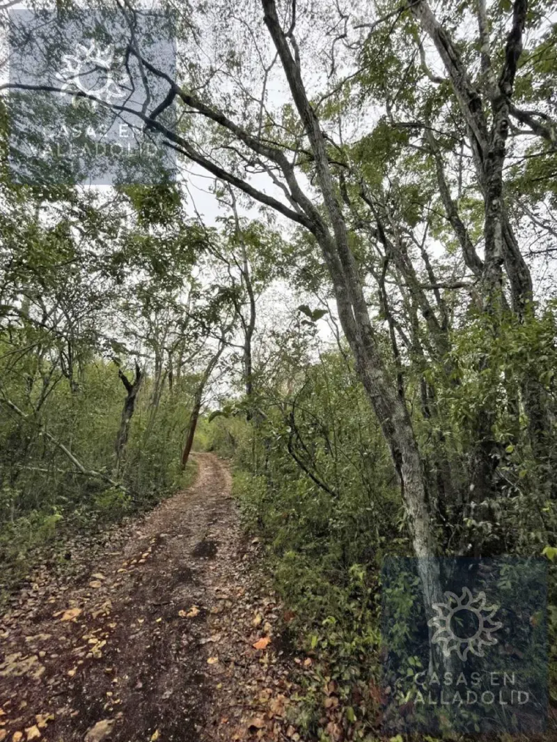 Terreno en México, Yucatán, Tixcacalcupul, Pueblo Tixcacalcupul, foto 1