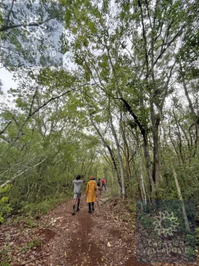 Terreno en México, Yucatán, Tixcacalcupul, Pueblo Tixcacalcupul, foto 2