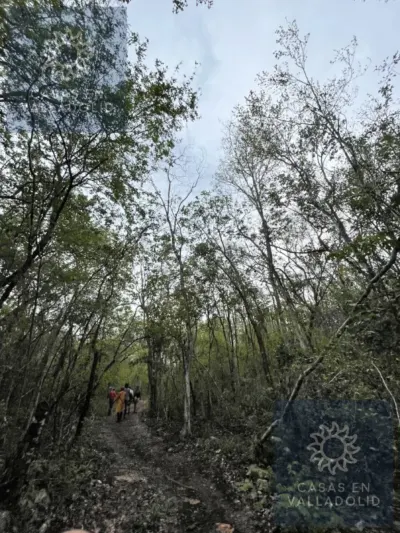 Terreno en México, Yucatán, Tixcacalcupul, Pueblo Tixcacalcupul, foto 3