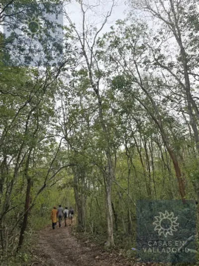 Terreno en México, Yucatán, Tixcacalcupul, Pueblo Tixcacalcupul, foto 4