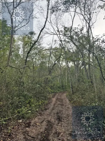 Terreno en México, Yucatán, Tixcacalcupul, Pueblo Tixcacalcupul, foto 5