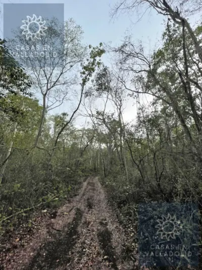 Terreno en México, Yucatán, Tixcacalcupul, Pueblo Tixcacalcupul, foto 6