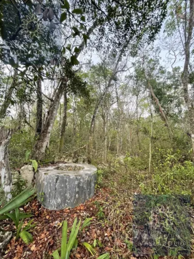 Terreno en México, Yucatán, Tixcacalcupul, Pueblo Tixcacalcupul, foto 7