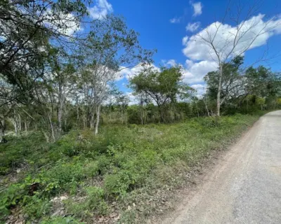 Terreno en México, Yucatán, Valladolid, foto 3