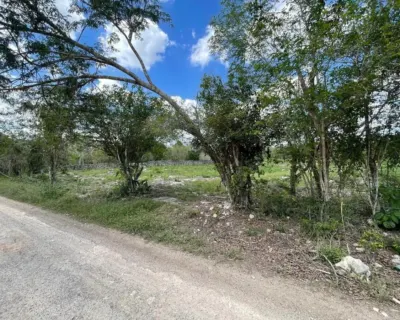 Terreno en México, Yucatán, Valladolid, foto 5