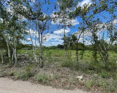 Terreno en México, Yucatán, Valladolid, foto 7