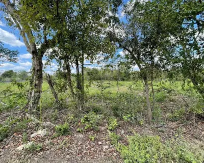 Terreno en México, Yucatán, Valladolid, foto 8