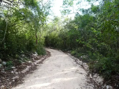 Terreno en México, Yucatán, Uayma, foto 9