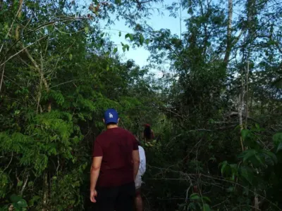 Terreno en México, Yucatán, Uayma, foto 17