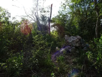 Terreno en México, Yucatán, Uayma, foto 20