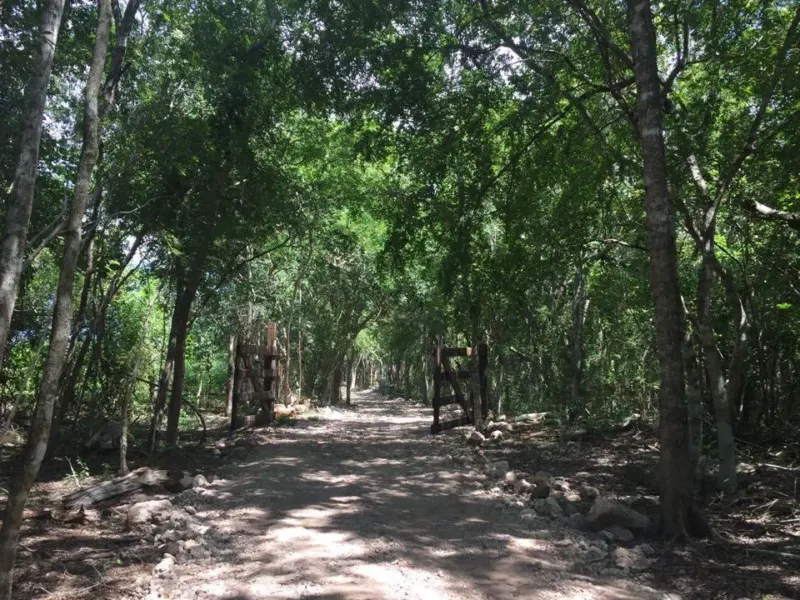 Terreno en México, Yucatán, Valladolid, foto 1