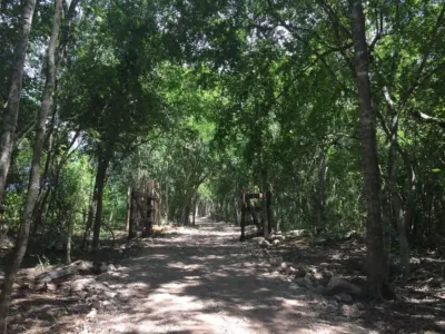 Terreno en México, Yucatán, Valladolid, foto 1