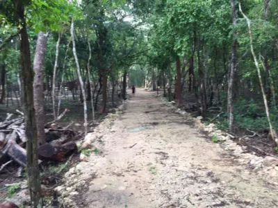 Terreno en México, Yucatán, Valladolid, foto 2