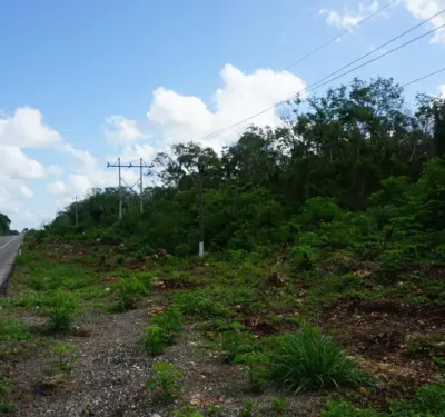 Terreno en México, Yucatán, Valladolid, foto 2