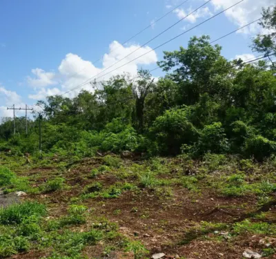 Terreno en México, Yucatán, Valladolid, foto 3