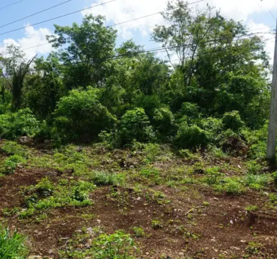 Terreno en México, Yucatán, Valladolid, foto 5