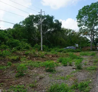 Terreno en México, Yucatán, Valladolid, foto 7