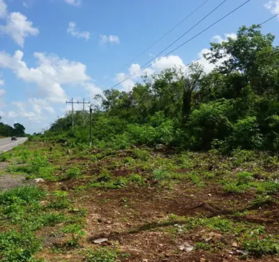 Terreno en México, Yucatán, Valladolid, foto 8