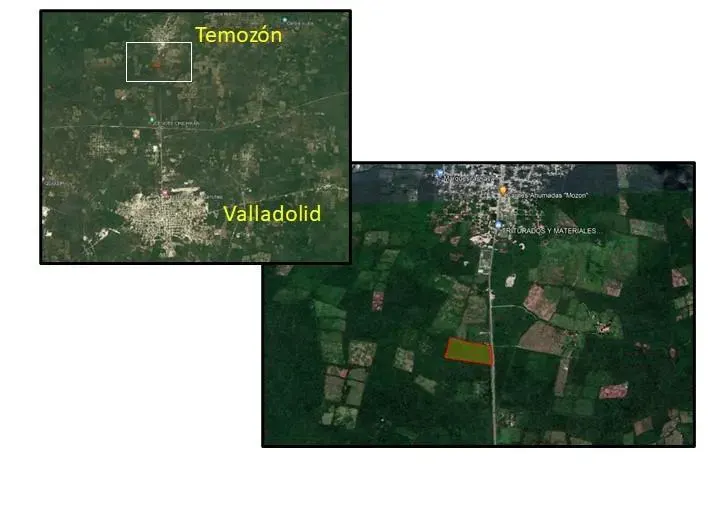 Terreno en México, Yucatán, Temozón, Pueblo Temozon, foto 1