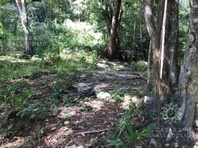 Terreno en México, Yucatán, Valladolid, foto 2