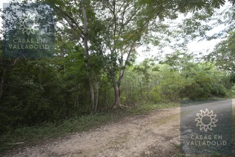 Terreno en México, Yucatán, Valladolid, Rancho o rancheria Popola, foto 1