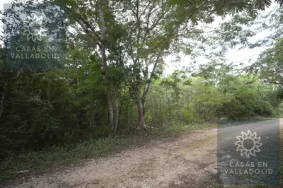 Terreno en México, Yucatán, Valladolid, Rancho o rancheria Popola, foto 1