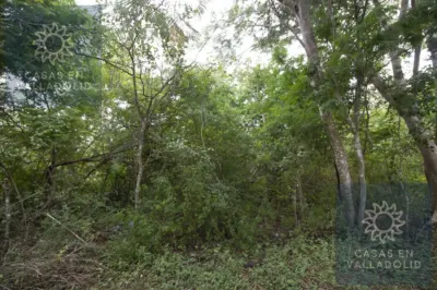 Terreno en México, Yucatán, Valladolid, Rancho o rancheria Popola, foto 3