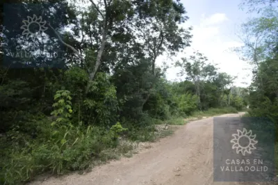 Terreno en México, Yucatán, Valladolid, Rancho o rancheria Popola, foto 5