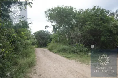 Terreno en México, Yucatán, Valladolid, Rancho o rancheria Popola, foto 6