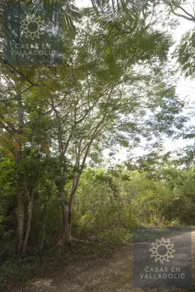 Terreno en México, Yucatán, Valladolid, Rancho o rancheria Popola, foto 7