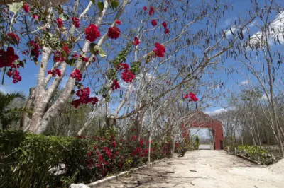 Terreno en México, Yucatán, Valladolid, Rancho o rancheria Pixoy, foto 5