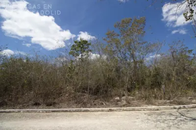 Terreno en México, Yucatán, Valladolid, Rancho o rancheria Pixoy, foto 13