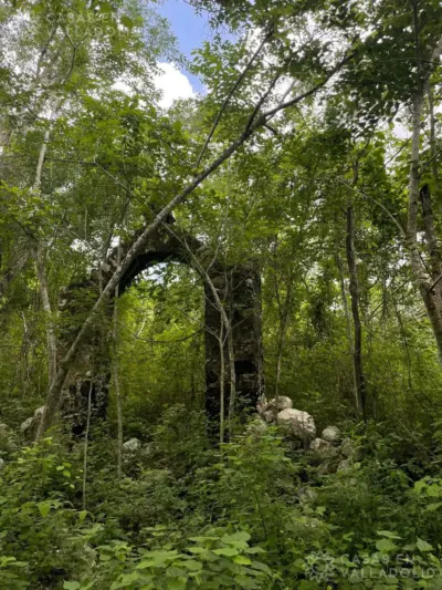 Terreno en México, Yucatán, Tinum, Rancho o rancheria San Francisco, foto 2