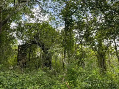Terreno en México, Yucatán, Tinum, Rancho o rancheria San Francisco, foto 3