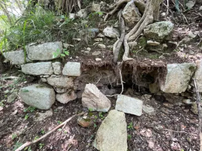 Terreno en México, Yucatán, Tinum, Rancho o rancheria San Francisco, foto 8