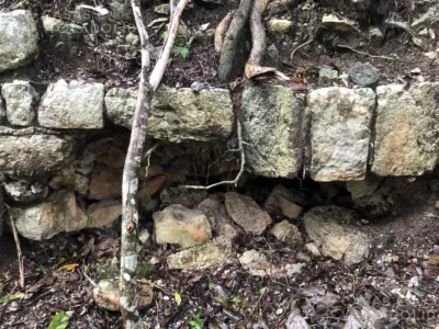 Terreno en México, Yucatán, Tinum, Rancho o rancheria San Francisco, foto 9