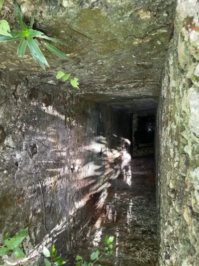 Terreno en México, Yucatán, Tinum, Rancho o rancheria San Francisco, foto 11