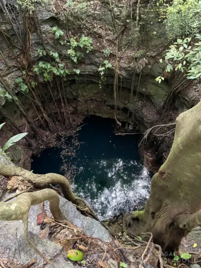 Terreno en México, Yucatán, Tinum, Rancho o rancheria San Francisco, foto 13