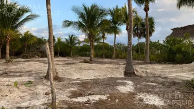 Terreno en México, Yucatán, Tizimín, foto 4