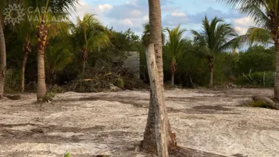 Terreno en México, Yucatán, Tizimín, foto 5